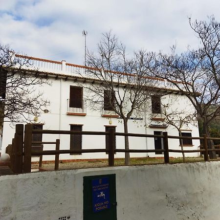 Casa Bienvenida - Carcaixent Bed & Breakfast Exterior foto