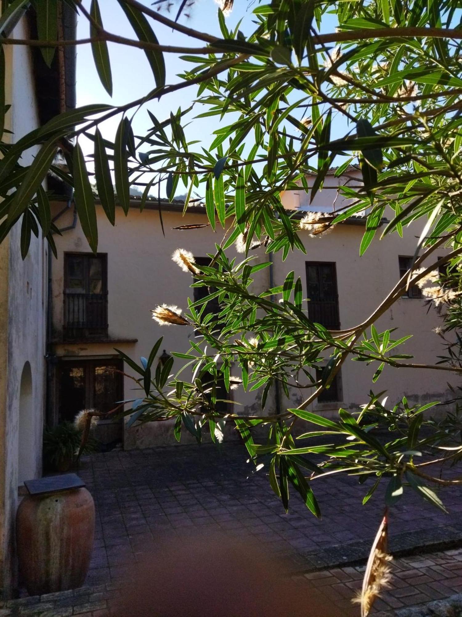 Casa Bienvenida - Carcaixent Bed & Breakfast Exterior foto